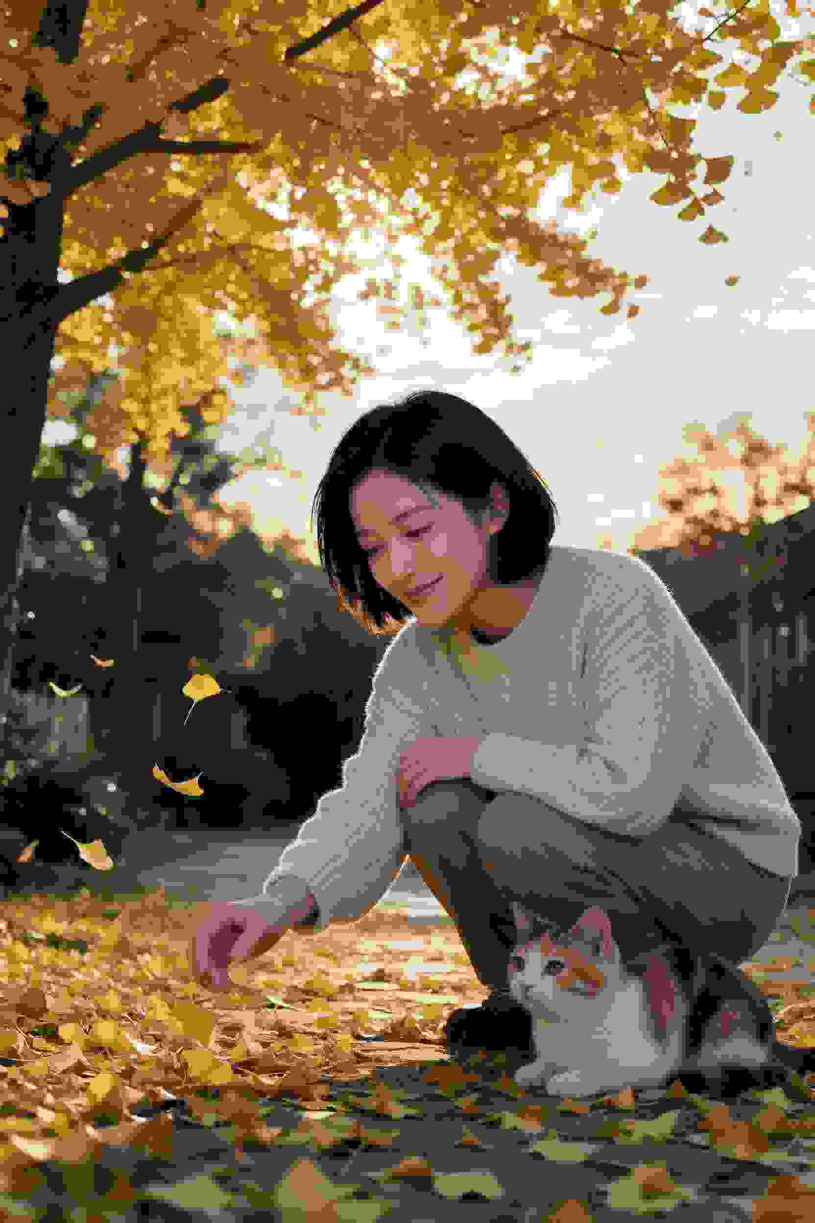 综艺5